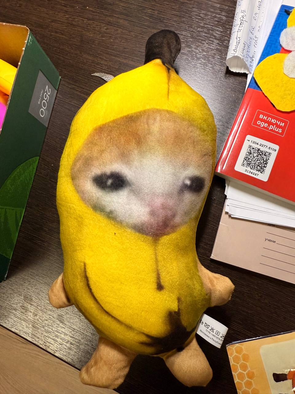 StriBee13